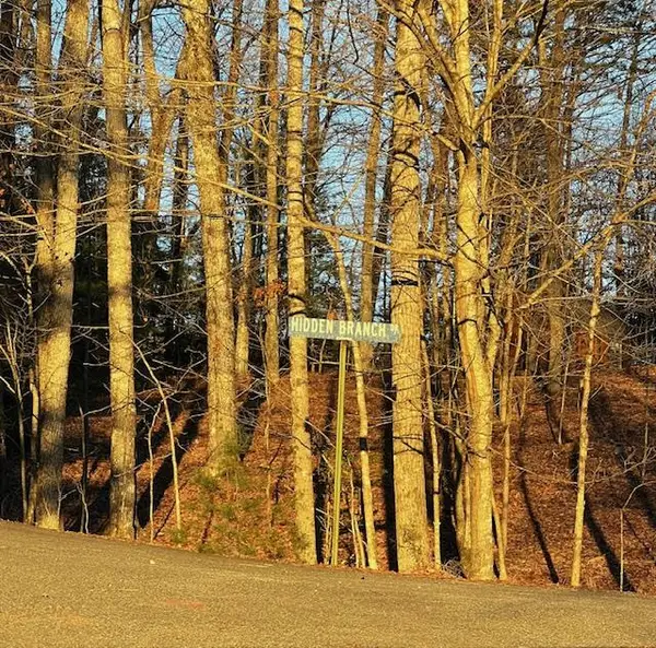 Lot 18 Hidden Branch Drive #18, Young Harris, GA 30582