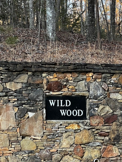 Lot 18 Hidden Branch Drive, Young Harris, GA 30582 - #2