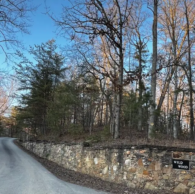 Lot 18 Hidden Branch Drive, Young Harris, GA 30582 - #3