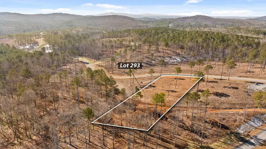 Lot 293 Twisted Oak Road, Talking Rock, GA 30175 - Image #2