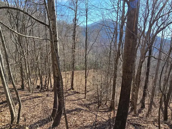 Lot 11 High Meadows, Hayesville, NC 28904