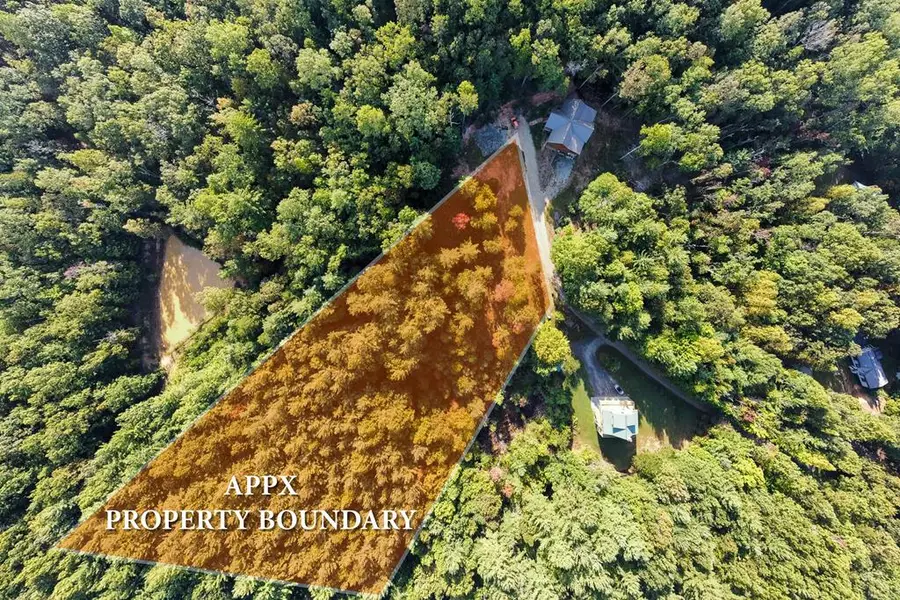 TBD Alex Way, Morganton, GA 30560 - Image #2