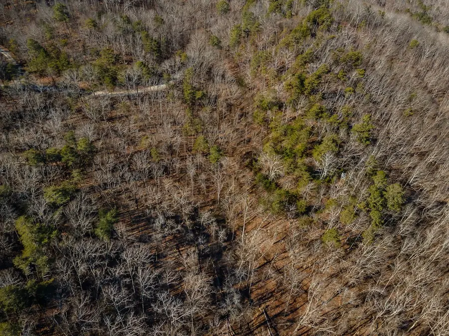 4.78 Ac Bell Court, Ranger, GA 30701 - Image #3