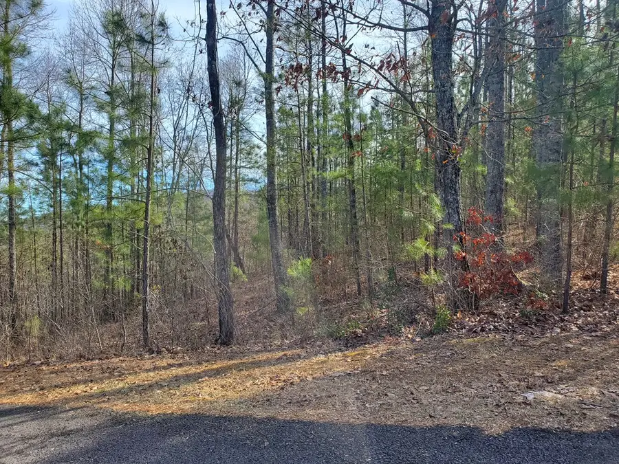 lot 25 Meadow Brooke, Young Harris, GA 30582 - Image #2