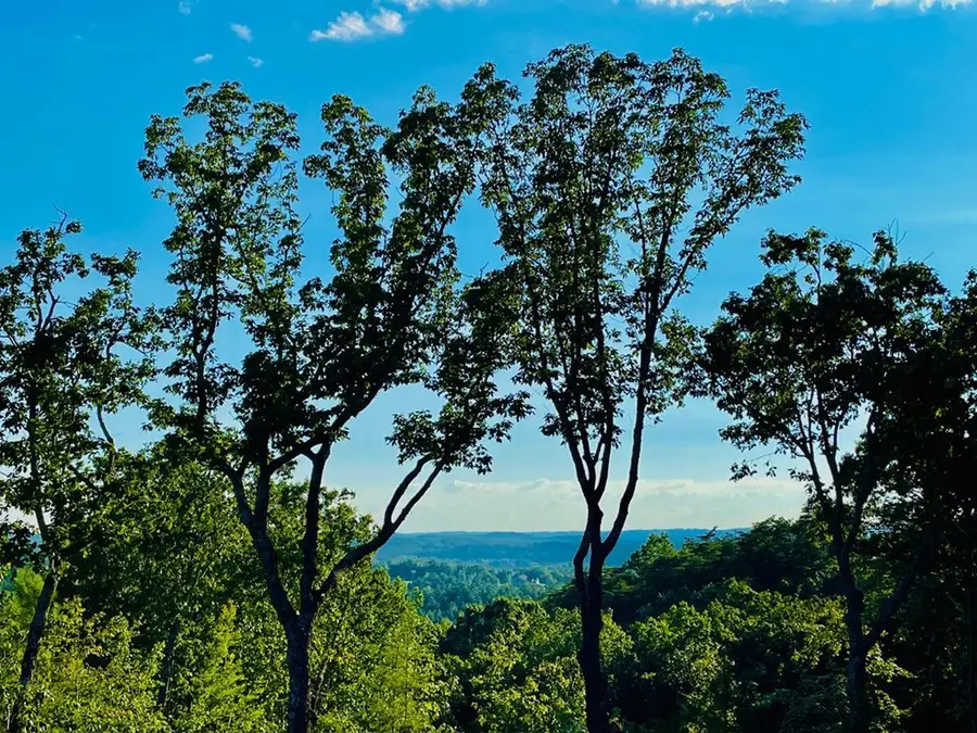 655 Lookout Valley Trail, Talking Rock, GA 30175 - #3