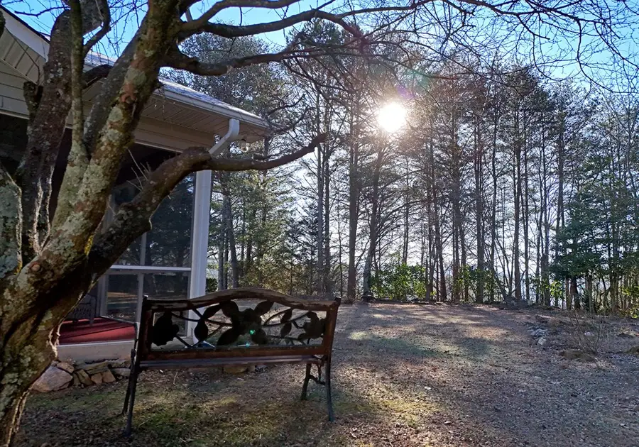 31 Westward Lane, Blue Ridge, GA 30513 - #3