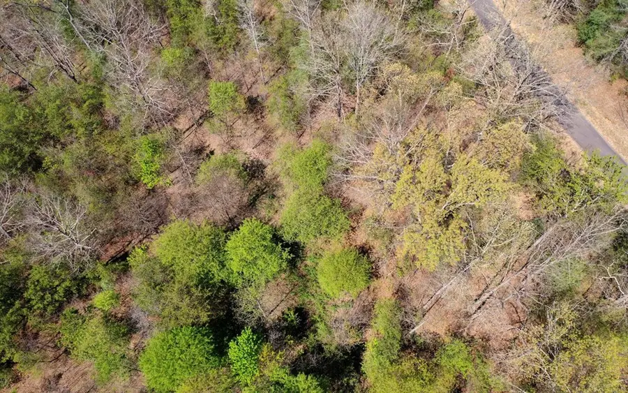 16 Grizzle Circle, Murphy, NC 28906 - Image #2