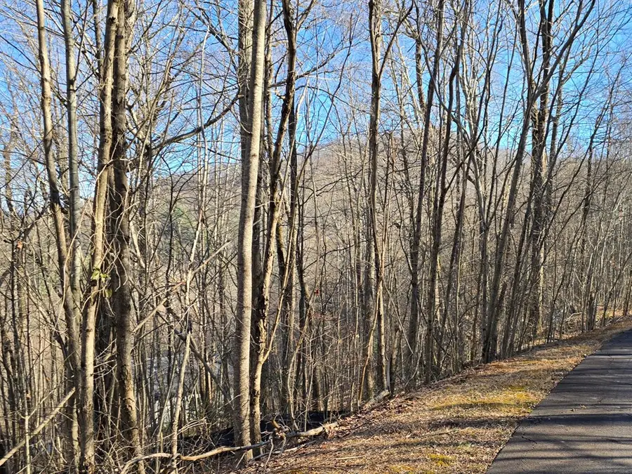 Lot #5 Overlook At Y.h., Young Harris, GA 30582 - Image #2