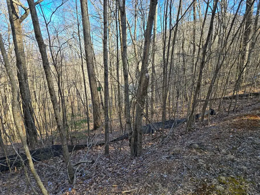 Lot #5 Overlook At Y.h., Young Harris, GA 30582 - Image #3