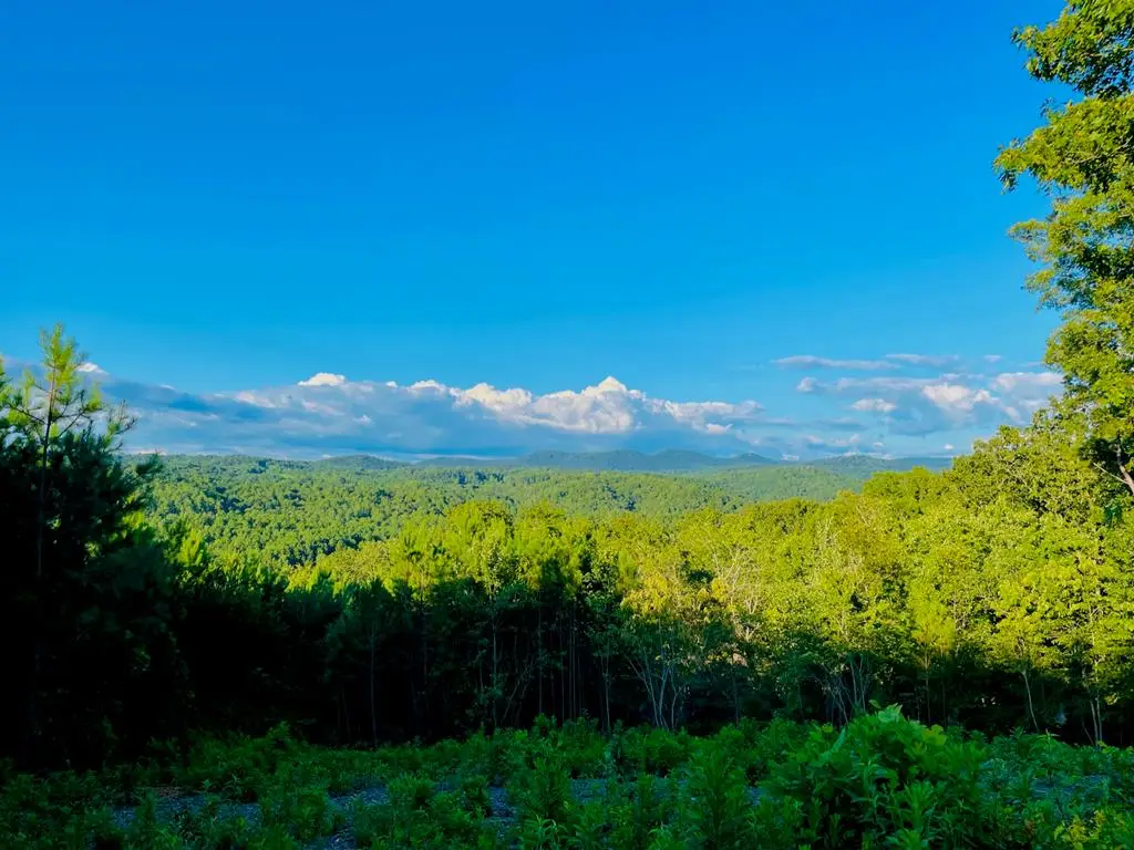 656 Lookout Valley Trail, Talking Rock, GA 30175 - #1