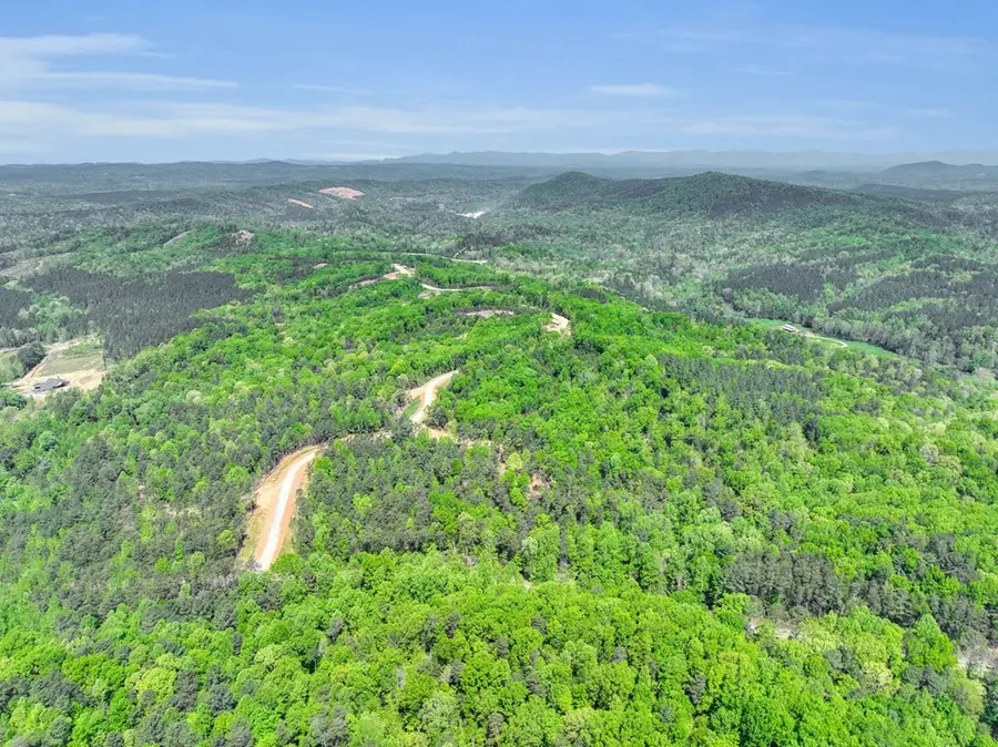 656 Lookout Valley Trail, Talking Rock, GA 30175 - #2
