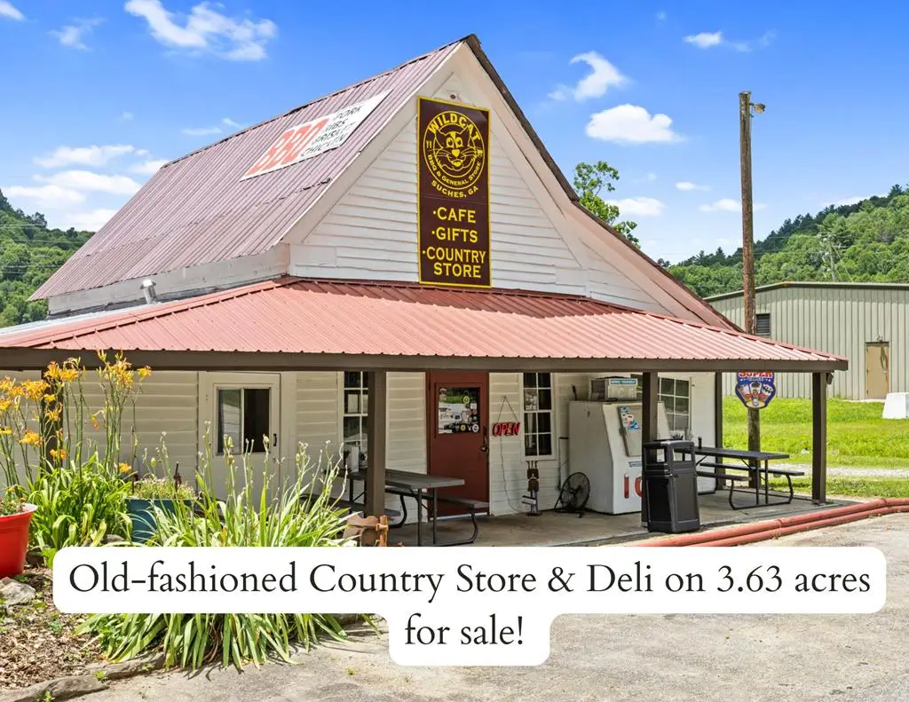 7475 State Highway 60, Suches, GA 30572 - Image #1