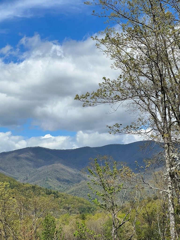 33 35 36 Ash Branch, Hayesville, NC 28904 - Image #3