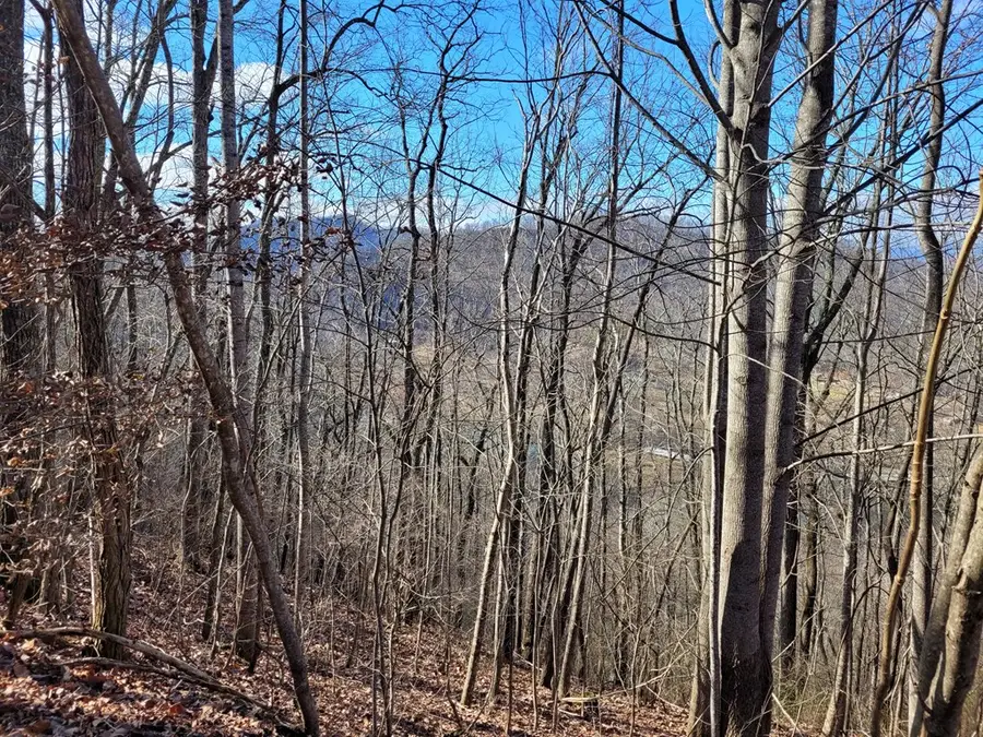 69 & 72 Colt Run, Hayesville, NC 28904 - Image #3