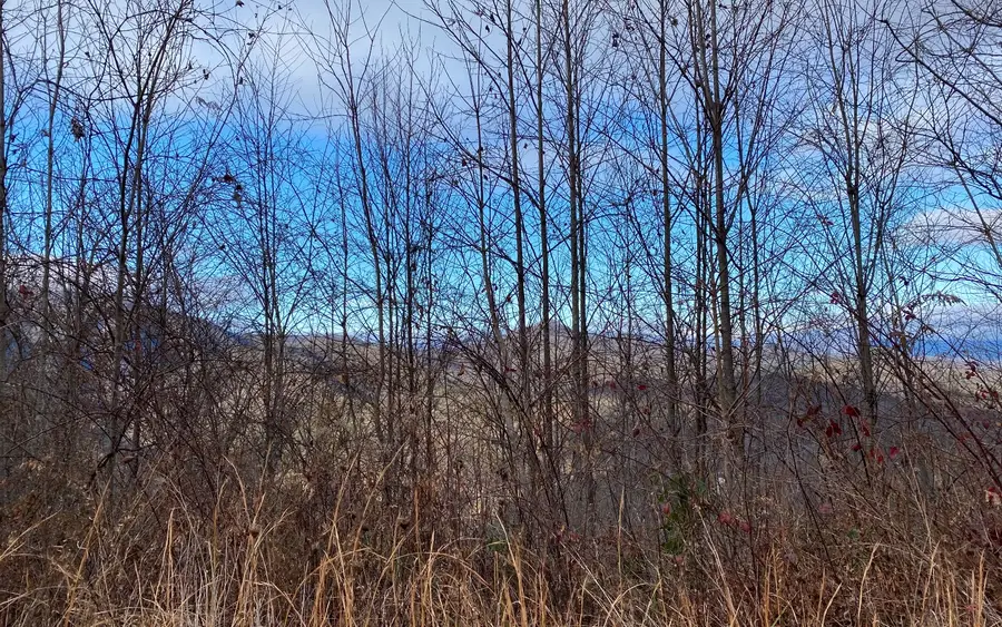 Lot G3 Georgianna Lane, Bryson City, NC 28713 - Image #3