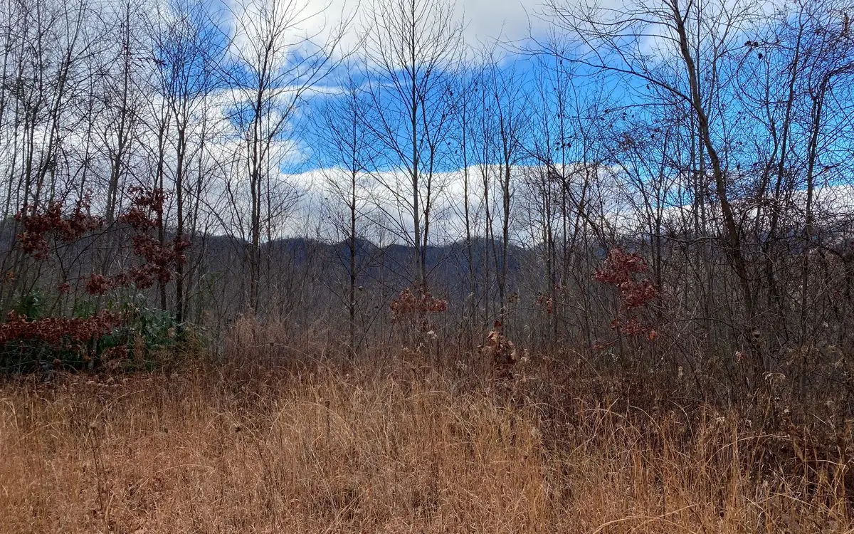 Lot G5 Georgianna Lane, Bryson City, NC 28713 - Image #1