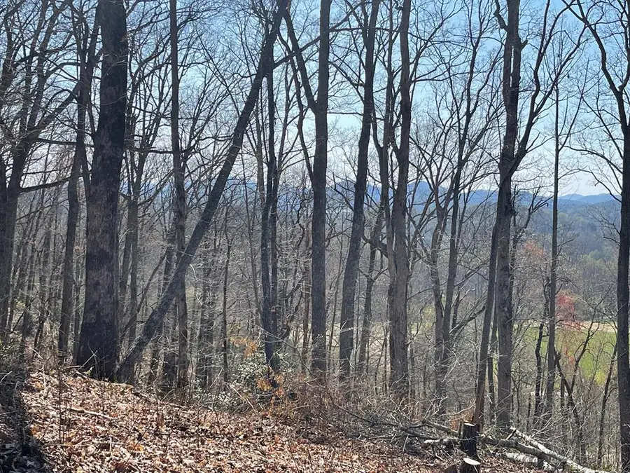 Address Withheld By Seller, Hayesville, NC 28904 - Image #2