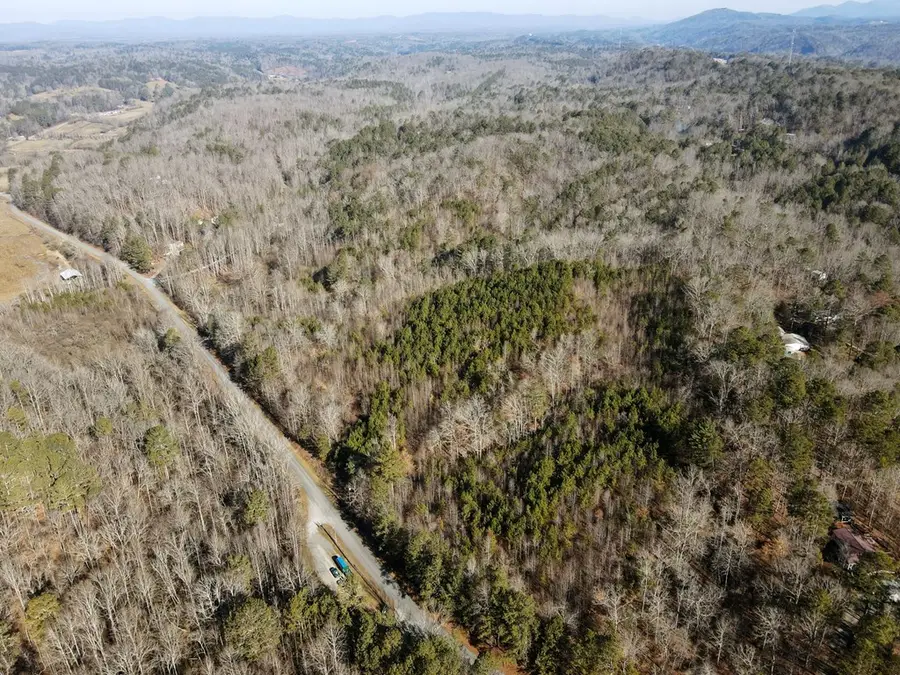 38 Acre Whitestone Road, Talking Rock, GA 30175 - Image #2