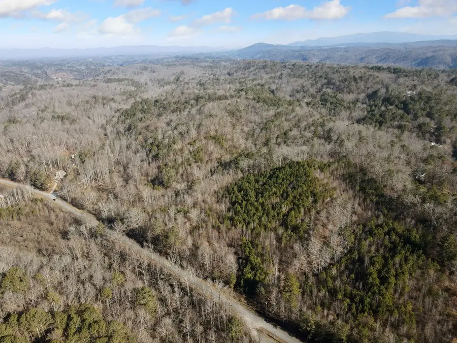 38 Acre Whitestone Road, Talking Rock, GA 30175 - Image #3