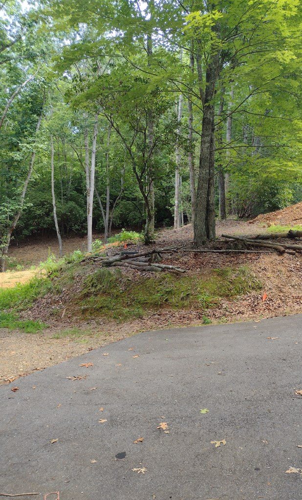 0 Radiant Cove, Brasstown, NC 28902 - Image #2