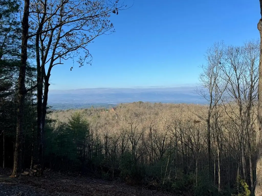 93 Wilderness Creek Way, Murphy, NC 28906 - #1