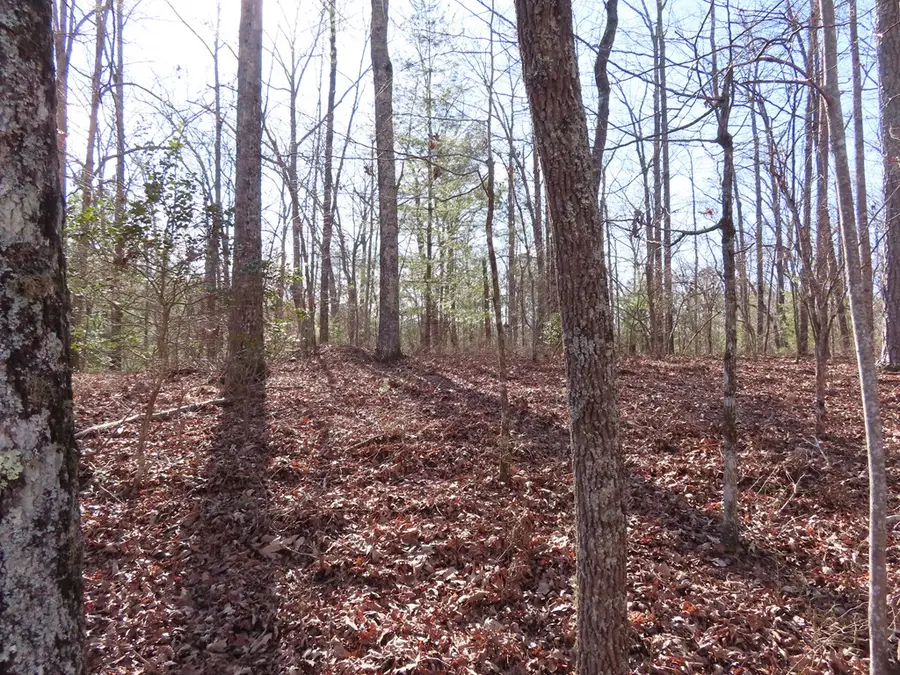 LT1906 Finale Street, Talking Rock, GA 30175 - Image #2