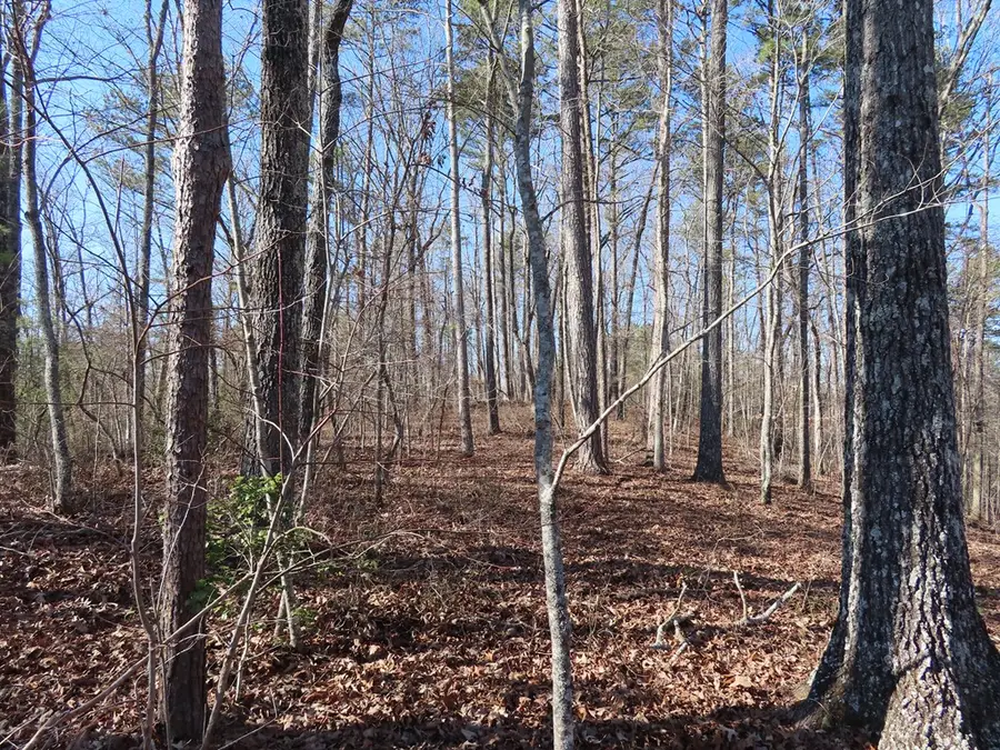 LT1906 Finale Street, Talking Rock, GA 30175 - Image #3