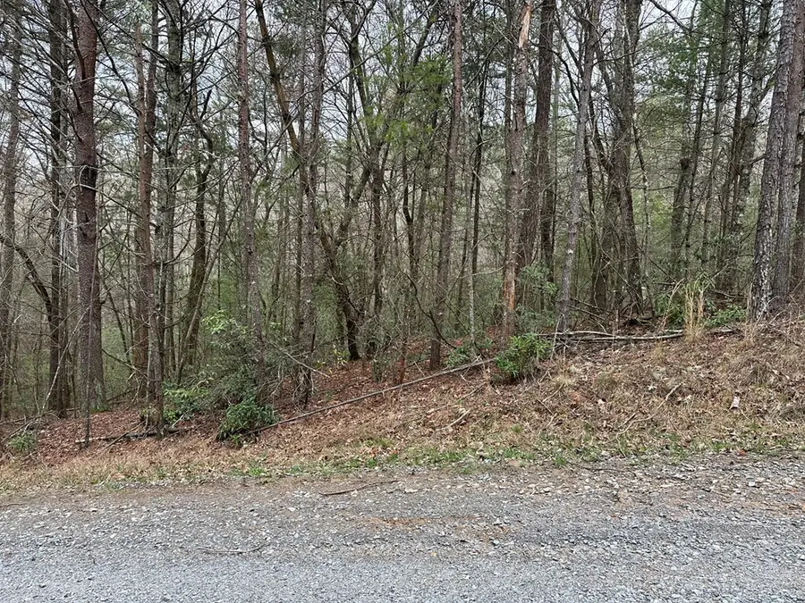 0 Abbey Court, Ellijay, GA 30540 - #2