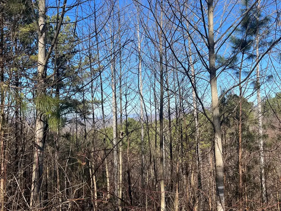 Lot 83 Ridge Peak View, Blairsville, GA 30512 - Image #3