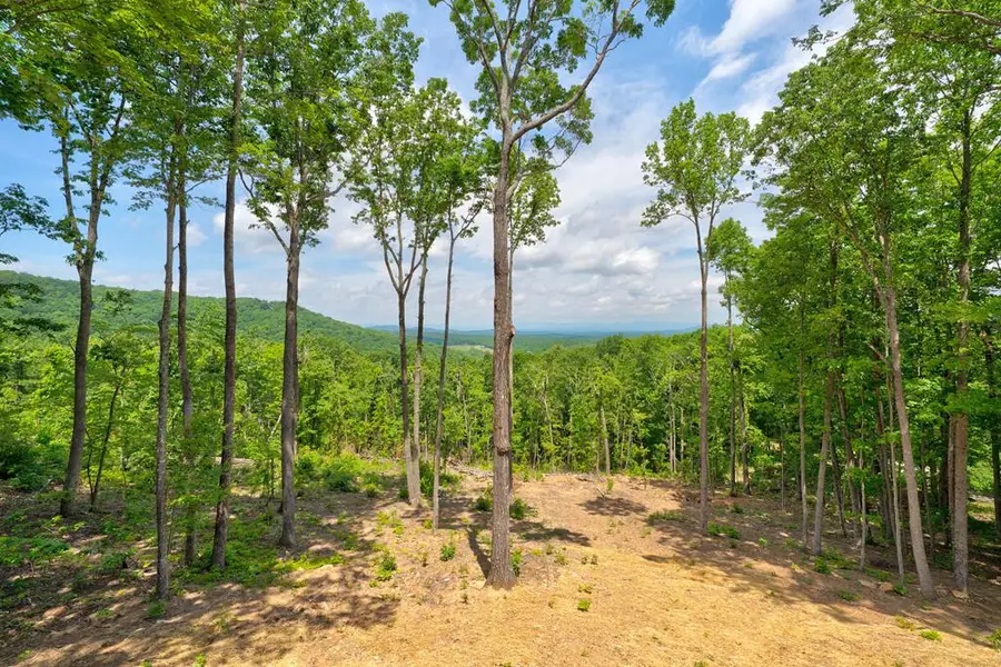 23 Green Cabin Way, Talking Rock, GA 30175 - Image #2