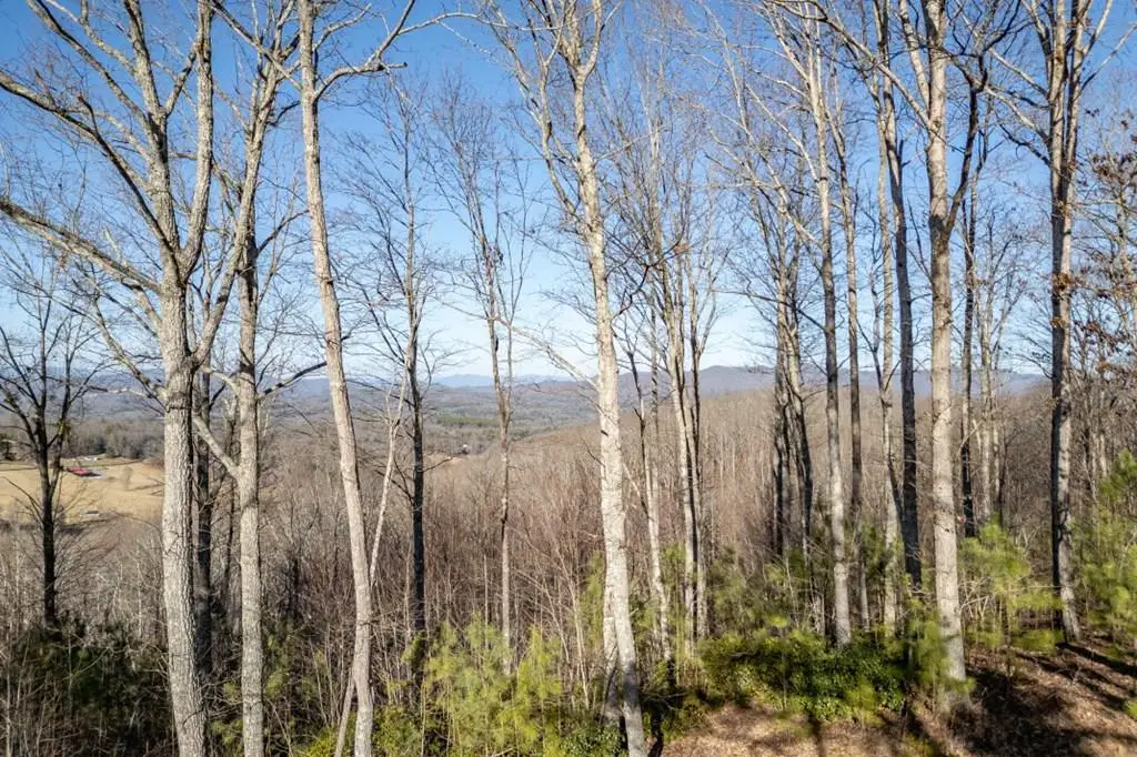 Lot 89 Thirteen Hundred, Blairsville, GA 30512 - Image #1