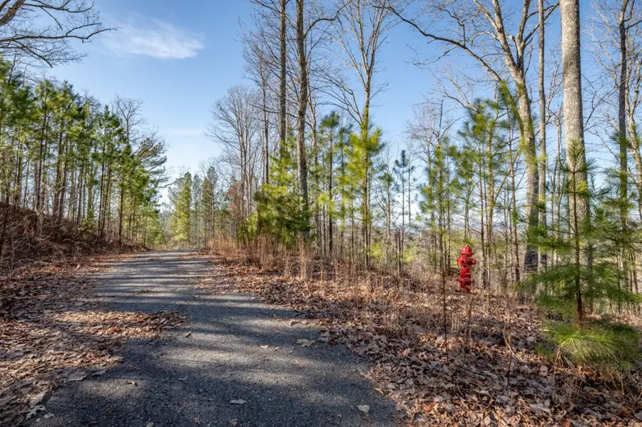 Lot 89 Thirteen Hundred, Blairsville, GA 30512 - Image #3