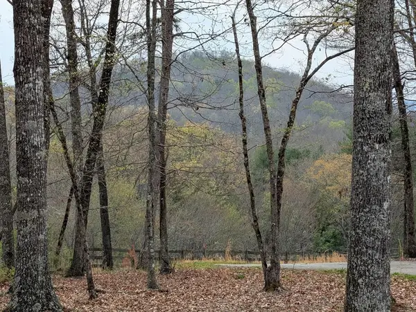 12 Daisy Drive, Brasstown, NC 28902