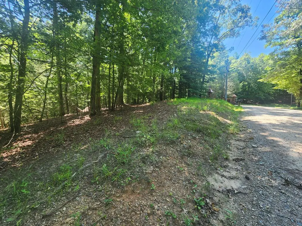 Lot 3 Meadow View Drive, Morganton, GA 30560 - Image #1