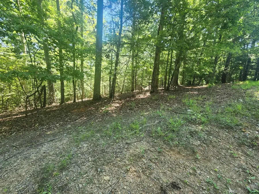 Lot 3 Meadow View Drive, Morganton, GA 30560 - Image #2