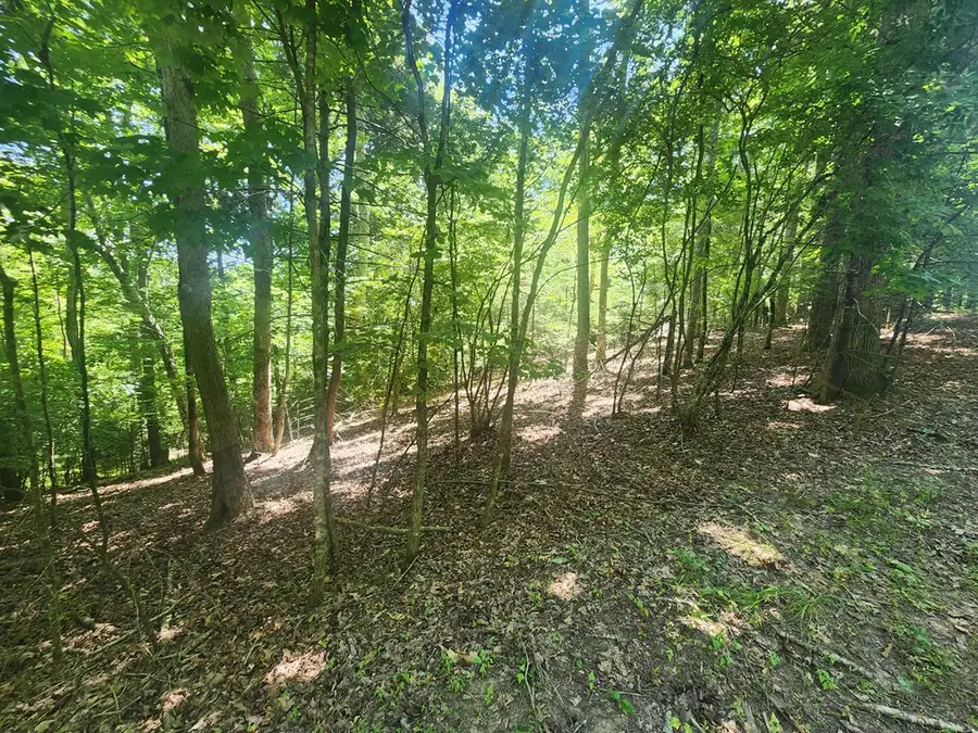Lot 3 Meadow View Drive, Morganton, GA 30560 - Image #3