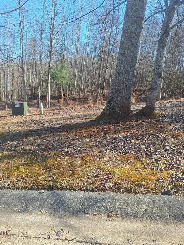 Lot 68 Summit Trace, Blairsville, GA 30512