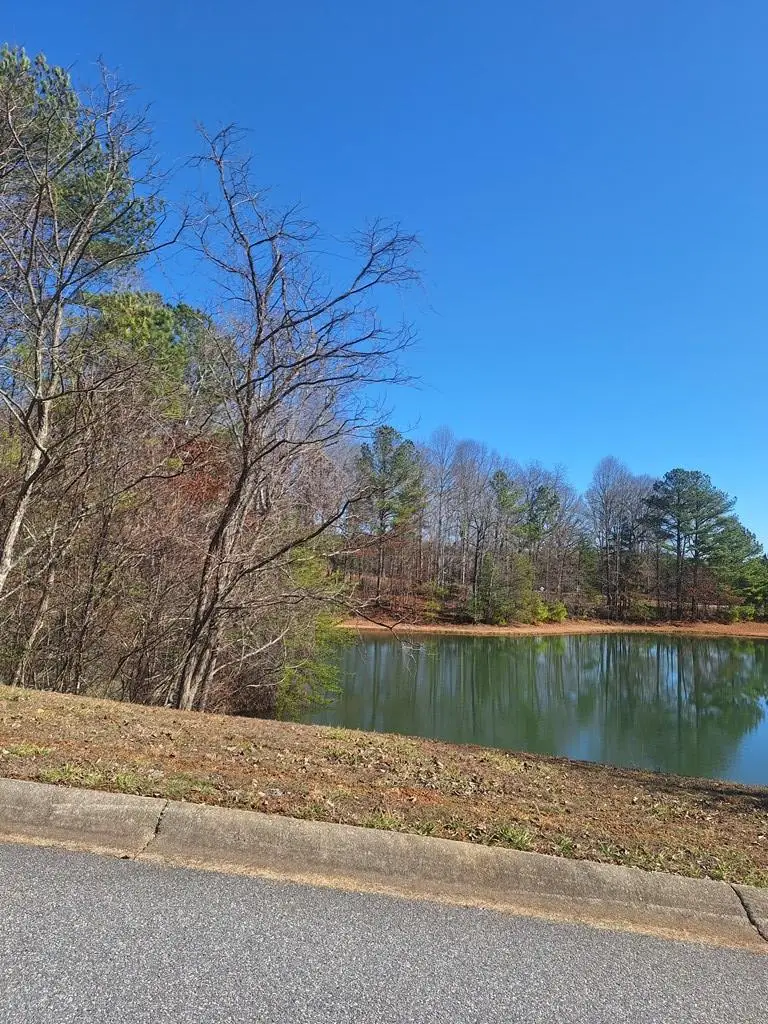 Lot 68 Summit Trace, Blairsville, GA 30512 - #3