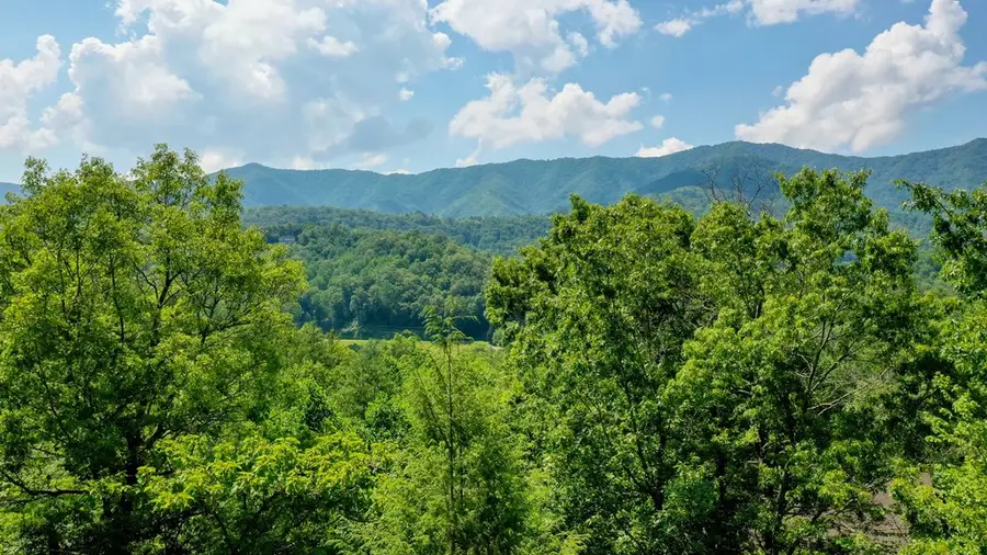 52 Bear Track Road, Andrews, NC 28901 - Image #2