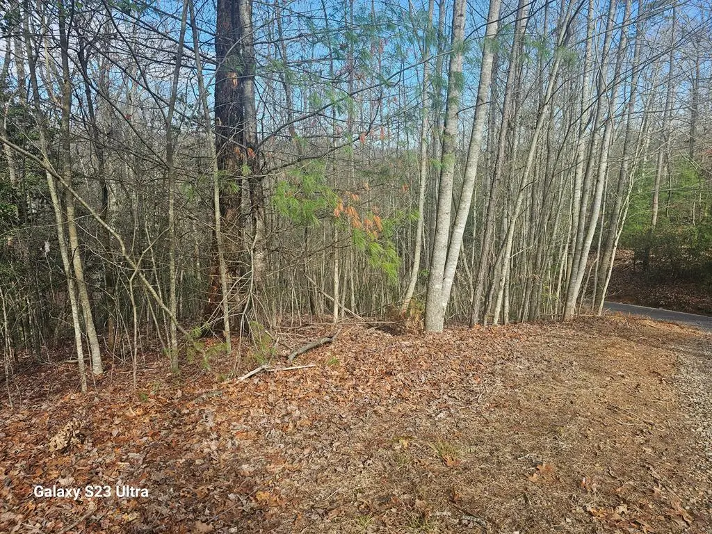 00 Antler Lane, Murphy, NC 28906 - Image #1