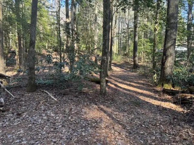 Lot 3 Happy Hollow Lane, Blairsville, GA 30514 - #1