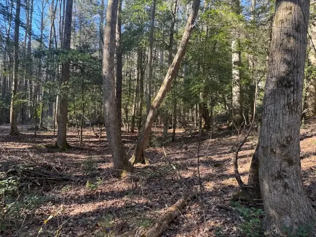 Lot 3 Happy Hollow Lane, Blairsville, GA 30514 - #2
