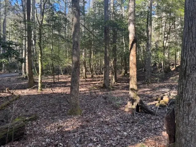 Lot 3 Happy Hollow Lane, Blairsville, GA 30514 - #3