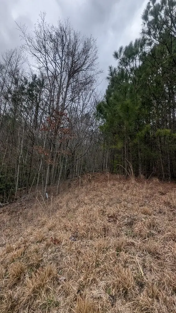Lot 25 Trailwood Drive, Blairsville, GA 30512 - Image #2