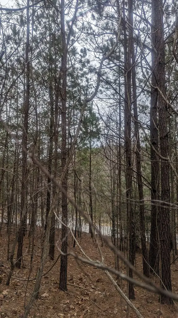 Lot 25 Trailwood Drive, Blairsville, GA 30512 - Image #3