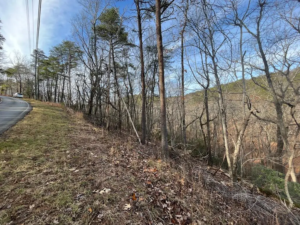 12 Chickasaw Drive, Waleska, GA 30183 - #1