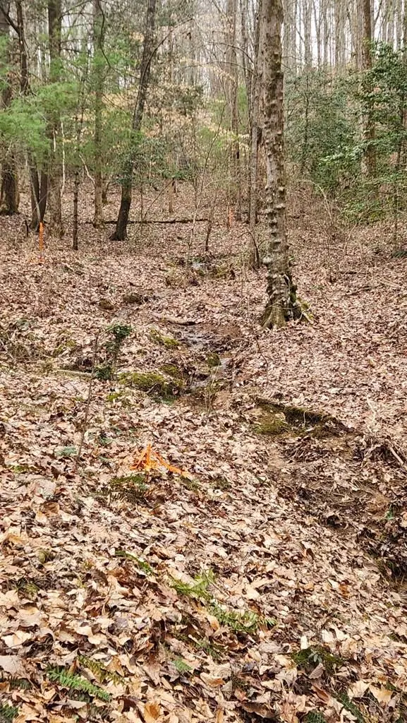 Lot 78 River Overlook Lane, Ellijay, GA 30540 - Image #1