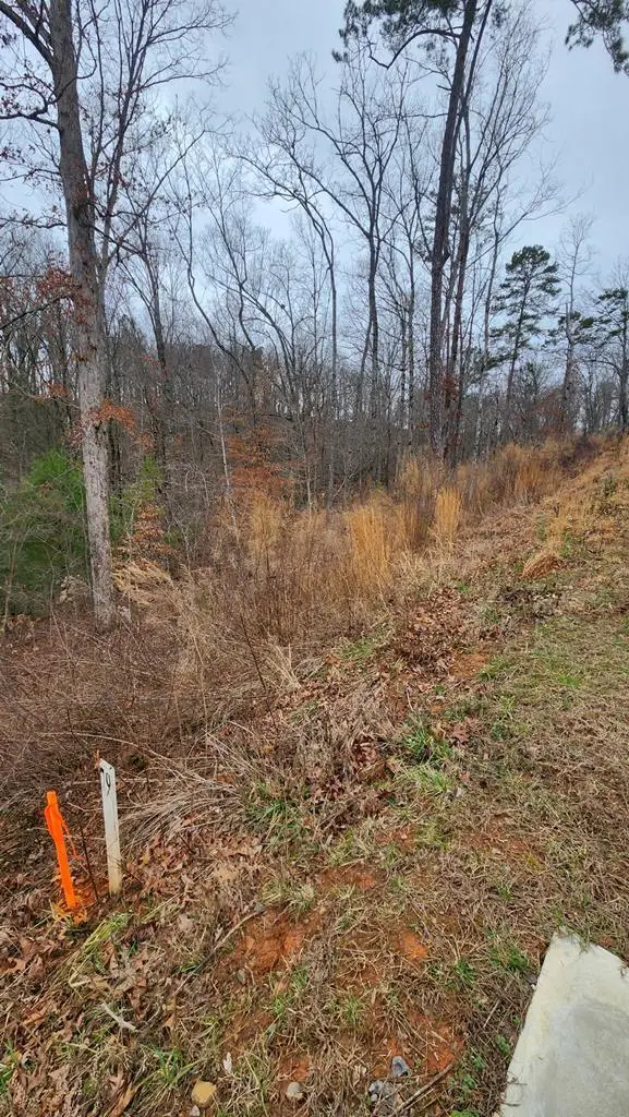Lot 78 River Overlook Lane, Ellijay, GA 30540 - Image #2