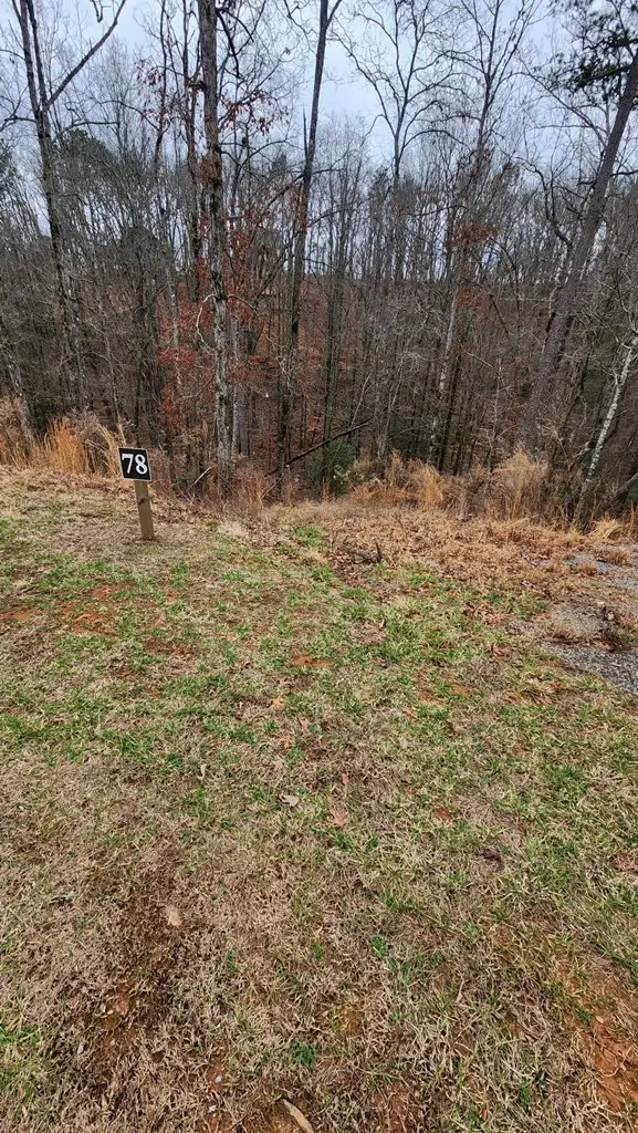 Lot 78 River Overlook Lane, Ellijay, GA 30540 - Image #3