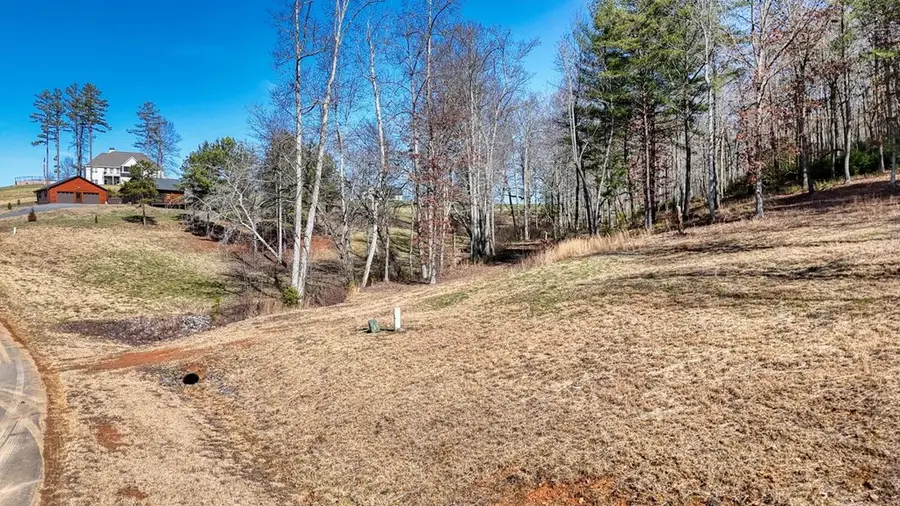 Lot 38 Hidden Harbor, Blairsville, GA 30512 - Image #3